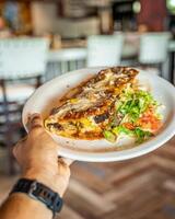 Pedros Tacos & Tequila Bar, Pensacola