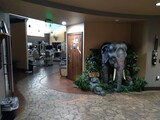  Wild Smiles - Lexington 203 North Lake Drive 