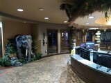  Wild Smiles - Lexington 203 North Lake Drive 