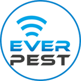  Everpest United States 950 S PINE ISLAND RD STE 150 FL PLAN 