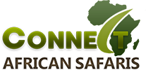  Profile Photos of Connect African Safari Kinondoni Road - Photo 1 of 1