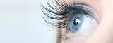  Glaucoma Evaluation, Treatment & Surgery 198 Conklin Ave, 