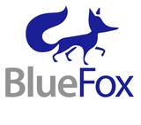 Blue Fox Outdoor Living, Richardson