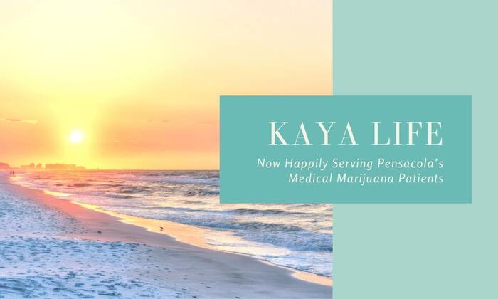  Profile Photos of Kaya Life 824 E La Rua St - Photo 1 of 1
