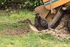  Profile Photos of Tree Service Bradenton Pro 1905 MARTIN LUTHER KING AVE E. - Photo 2 of 4