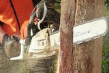  Tree Service Bradenton Pro 1905 MARTIN LUTHER KING AVE E. 