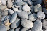  Arbeen Landscaping 6610 Ridge Road 