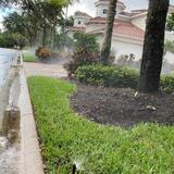 Menus & Prices, bja landscaping brothers llc, Bonita Springs