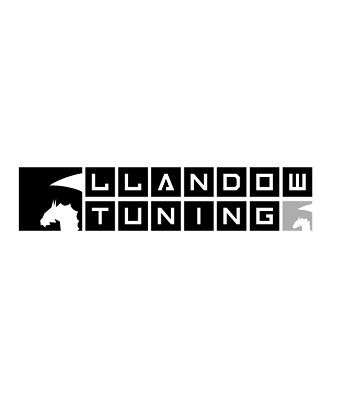  Profile Photos of Llandow Tuning Llandow Dyno Centre Llandow Trade Est - Photo 1 of 1