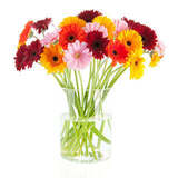  Best Florist Delivery 29 E 63rd St 