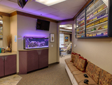  North Texas Orthodontic Associates 1750 N Stonebridge Dr #101 