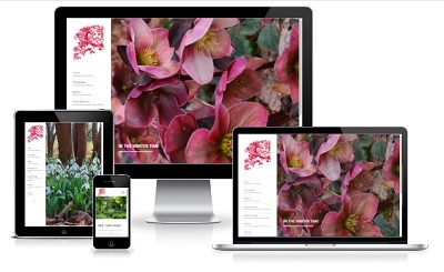  Profile Photos of Manifest Website Design 471 Argyle Street - Photo 3 of 4