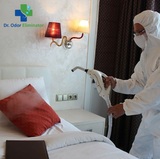  Doctor Odor Eliminator 218 Cypress Street W 