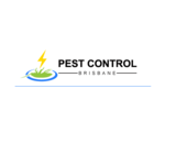 Cockroach Control Brisbane, Brisbane