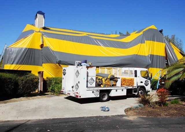  New Album of Nixtermite Inc. 5080 Bonita Road A2 - Photo 2 of 3