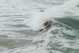 Learn To Surf, South Swell Surf Shop, Emerald Isle