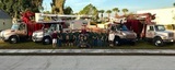 Tim's Tree Service, Cape Coral