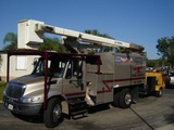 Tim's Tree Service, Cape Coral