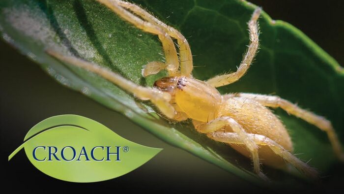 Croach Pest Control Exterminators - West Columbia SC - Header Profile Photos of Croach Pest Control 28 Boland Court, Unit 28 - Photo 5 of 12