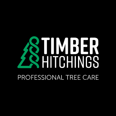  Profile Photos of Tree Surgeons Ulverston Quebec Street - Photo 1 of 1