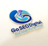 Go SEO Digital, Bilaspur