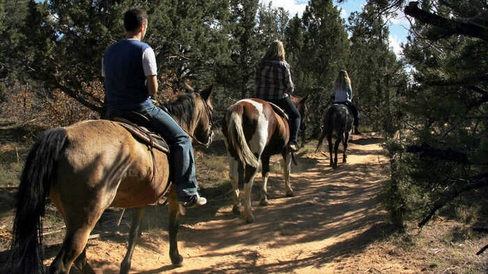  New Album of East Zion Adventures Twin Knolls Rd - Photo 5 of 10