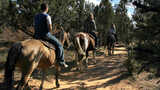  East Zion Adventures Twin Knolls Rd 
