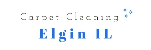  Profile Photos of Carpet Cleaning Elgin IL 223 Dundee Ave - Photo 1 of 1
