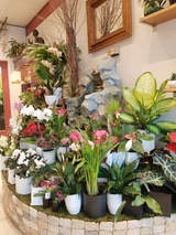  Fleuriste Les Fleurs De L'Artiste 650 Bd du Fort-Saint-Louis Local 10 