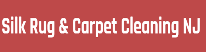  Profile Photos of Silk Rug and Carpet Cleaning NJ Serving - Photo 1 of 1