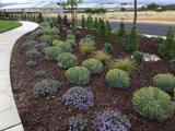 Alpine Landscape Co 8787 Monterey Road 