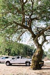  Alpine Landscape Co 8787 Monterey Road 