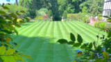 Fletchers Landscaping & Garden Maintenance | Cobham | Surrey 13 Queens Court Ride 