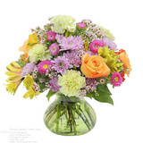 Donna's Garden Flower Shop - Chicago, IL, Chicago