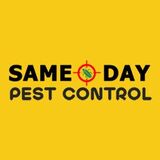 Best Pest Control Perth, Perth