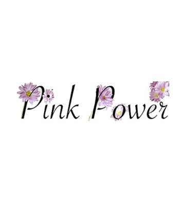  Profile Photos of Pink Power Cleaning of Dayton 8 Prestige Plaza Dr, Suite 108 - Photo 1 of 1