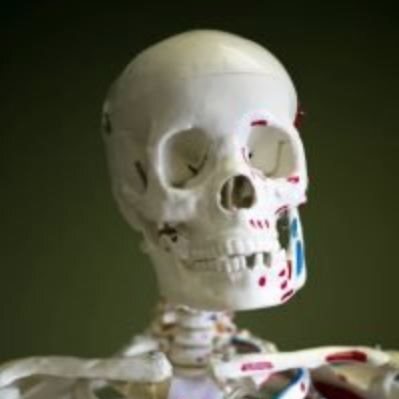  New Album of Functional Chiropractic 11220 Memorial Parkway SW - Photo 1 of 7