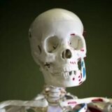  Functional Chiropractic 11220 Memorial Parkway SW 