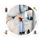 Tile and Grout Cleaning Perth, Perth
