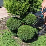  Midstate Landscaping - Landscapers in Carlisle, PA 36 Valley Street 