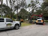 Arbor Bay Tree Service, Tampa