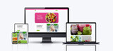 Yourweb, Carlow