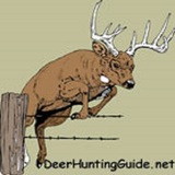 DeerHuntingGuide.net, Naples