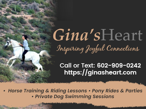Gina's Heart in Scottsdale, AZ offering pony party rentals, dog swimming lessons and horse training sessions. Profile Photos of Gina's Heart 31827 N 140th St - Photo 2 of 6