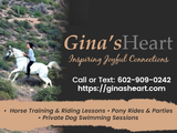 Gina's Heart in Scottsdale, AZ offering pony party rentals, dog swimming lessons and horse training sessions. Gina's Heart 31827 N 140th St 