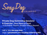 Soxy Dog Swimming lessons for dog swimming lessons and fitness in Scottsdale, Phoenix & Paradise Valley, AZ. Gina's Heart 31827 N 140th St 