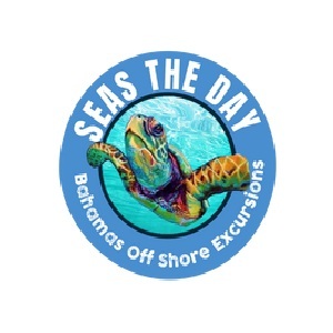  Profile Photos of Seas The Day Slip W24, 64 East Bay Street - Photo 1 of 1