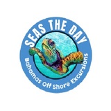 Seas The Day, Nassau