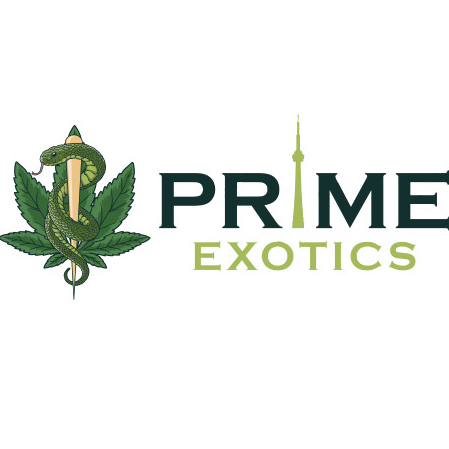  Profile Photos of Prime Exotics 40 bay st - Photo 1 of 1