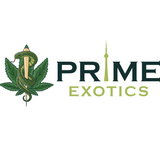 Prime Exotics, toronto